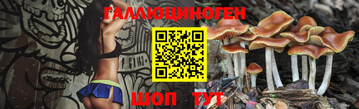 Серпухов  Галлюциногенные грибы MAGIC MUSHROOMS  Вход с VPN  Псилоцибиновые грибы прущие грибы 